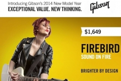 BREE Modeling Firebird for Gibson Catalog.